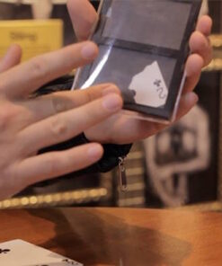 Alternative view of VIP Pass