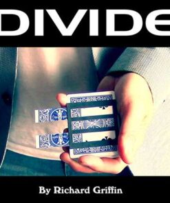 6172-divide-bleu-richard-griffin