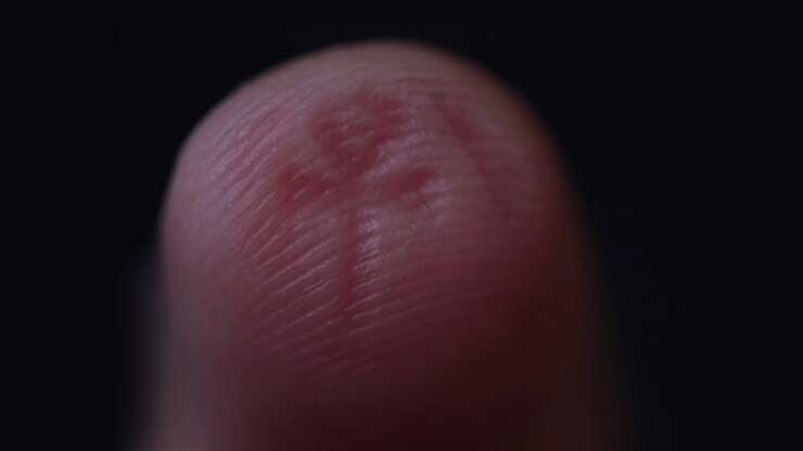 The Artefact – Image 5