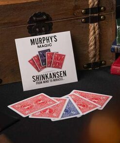 Alternative view of Shinkansen