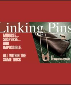 6632-Linking-pins-Hernan-Maccagno
