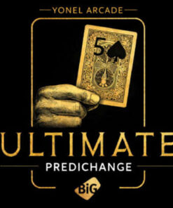 6640-Ultimate-prédichange-Yonel-Arcade