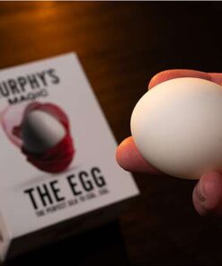 Alternative view of The Egg