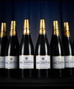 6789-Miracle-Wine-Bottles-Champagne-Complete-Set-with-Case-TCC-Magic