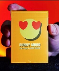 7978-sunny-mood-viki-gong