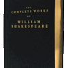 The Shakespeare Experiment